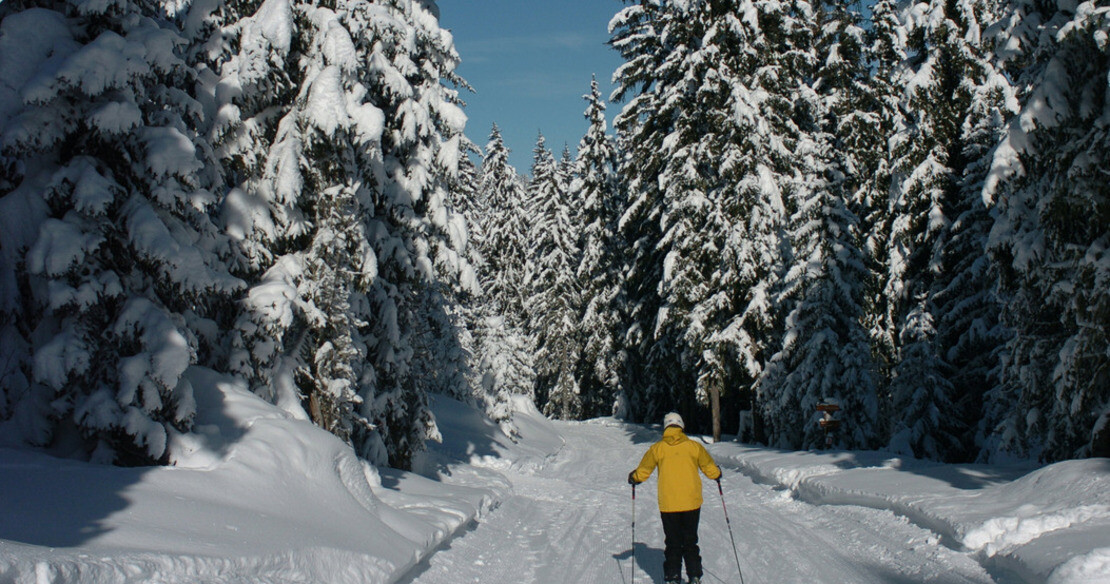 Luxury chalets and hotels in Courchevel le Praz resort in France