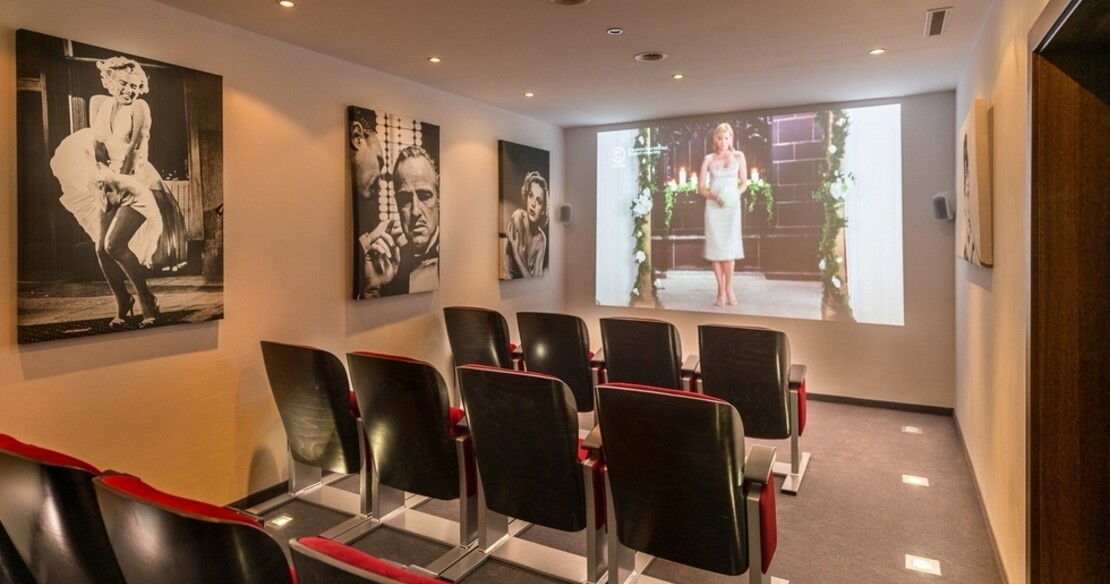 Chalet Artemis - cinema