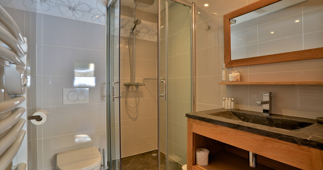 Chalet Aralia St Martin de Belleville - shower
