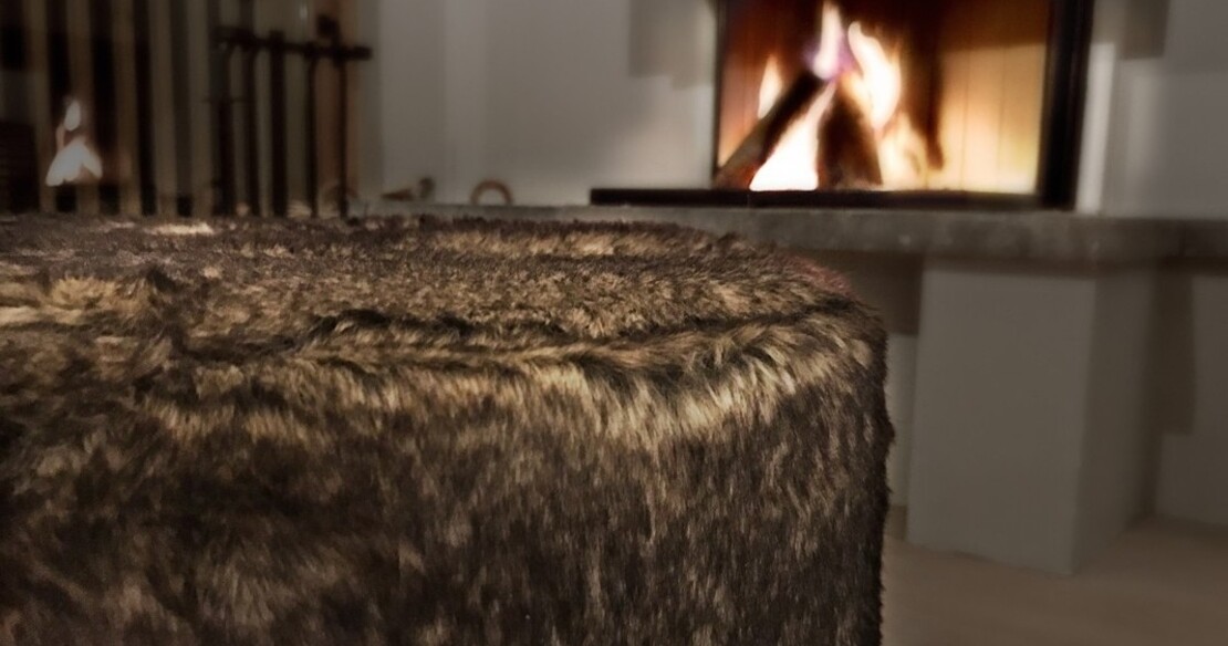Chalet Caro - Fireplace