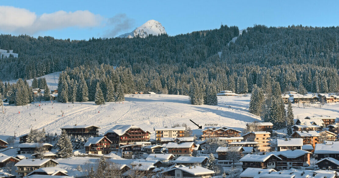 Chalet Aviemore Les Gets