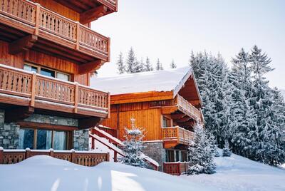 Luxury Chalet Eleonore - Meribel
